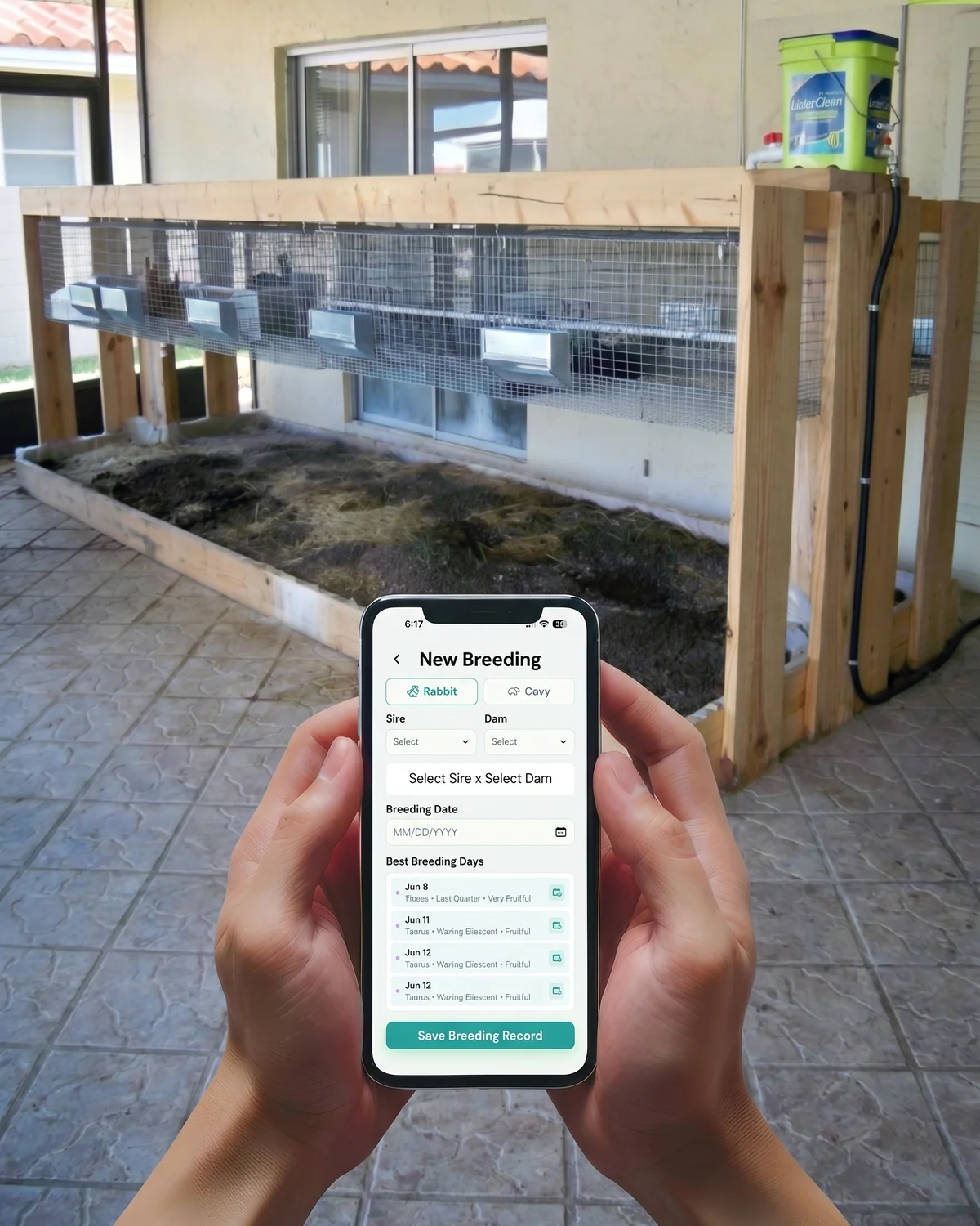 A breeder holding a phone and logging a breeding in the HerdMaster app at the cages