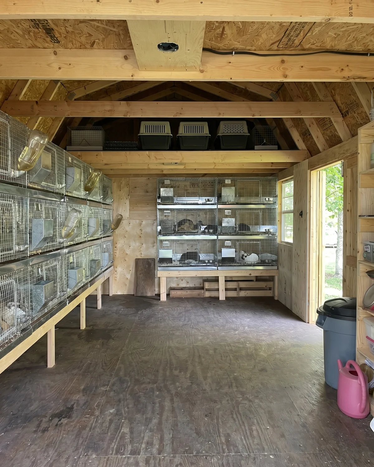 Inside a rabbit breeding barn with rows of wire cages and stacked nest boxes